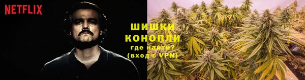 PSILOCYBIN Белоозёрский
