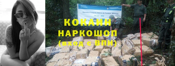 PSILOCYBIN Белоозёрский
