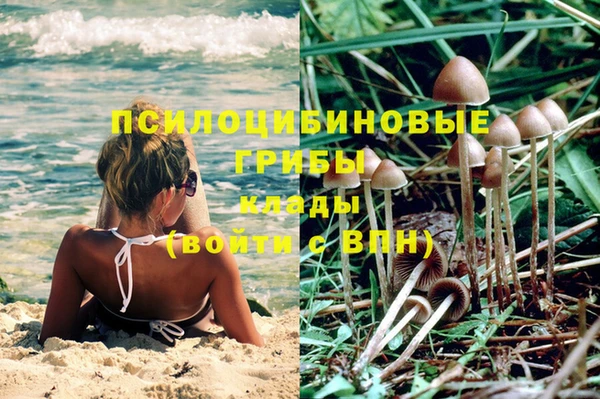 кокаин премиум Белокуриха