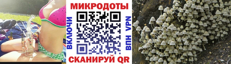 Галлюциногенные грибы Psilocybine cubensis  Велиж 